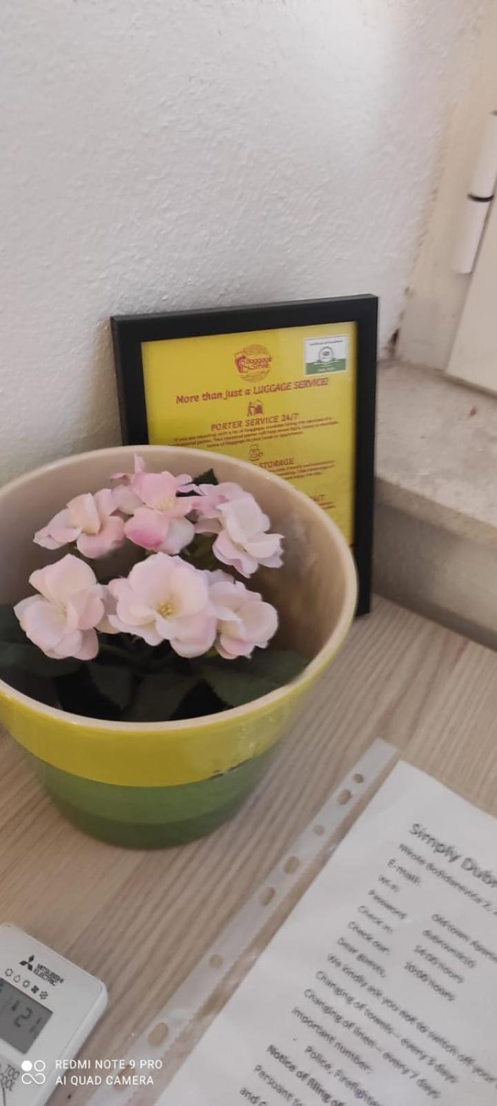 Apartament Simply Dubrovnik Nikole Bozidarevica 2 A B C D Zewnętrze zdjęcie